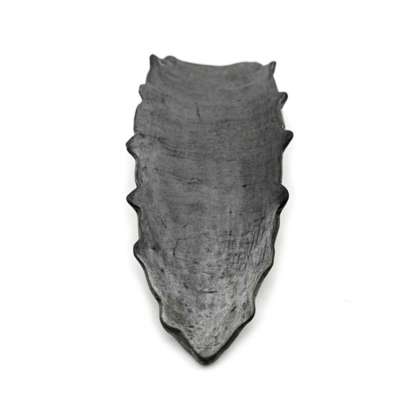 Kit botanero hojas de maguey de Barro Negro - Image 2