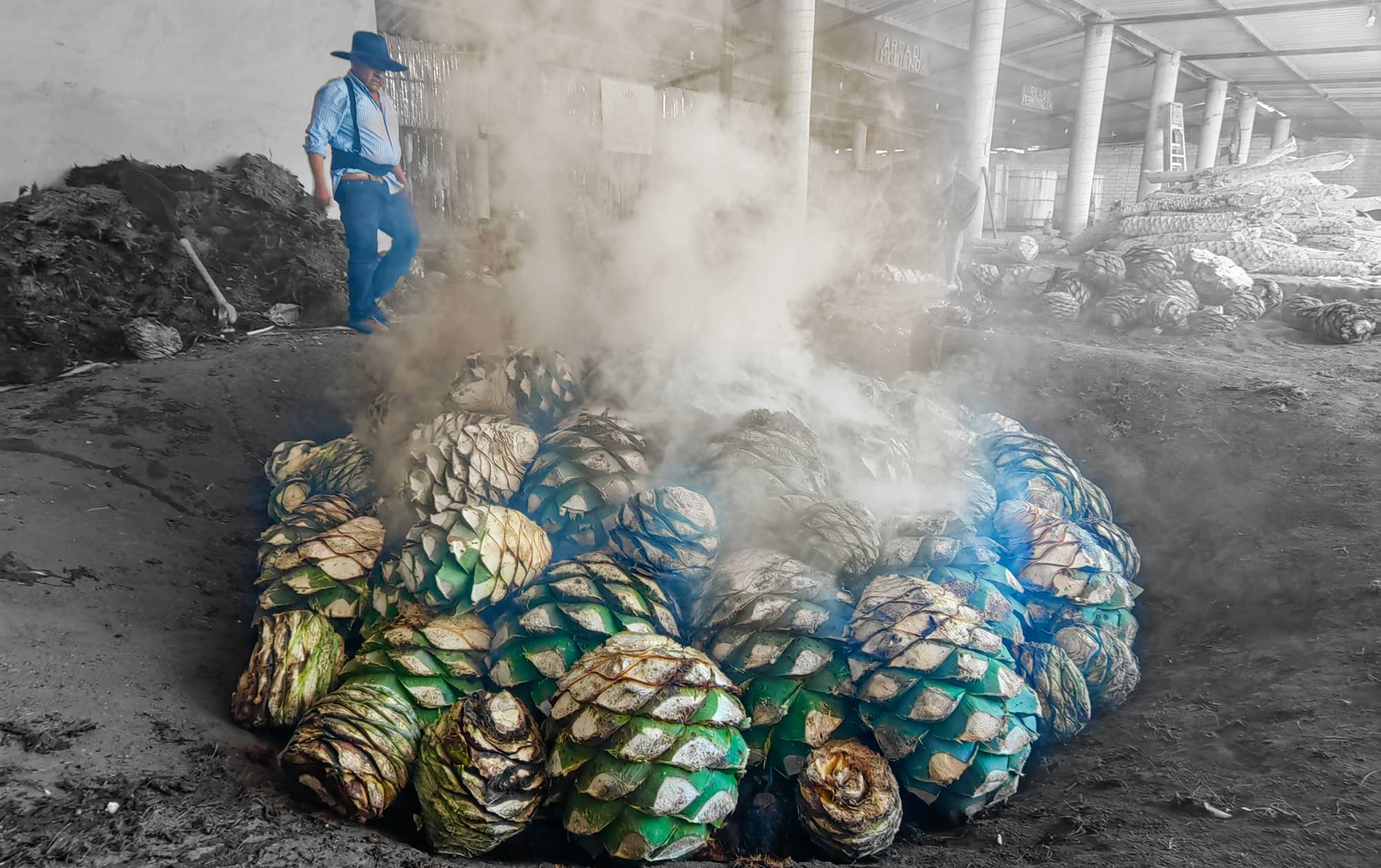HORNO DE MAGUEY