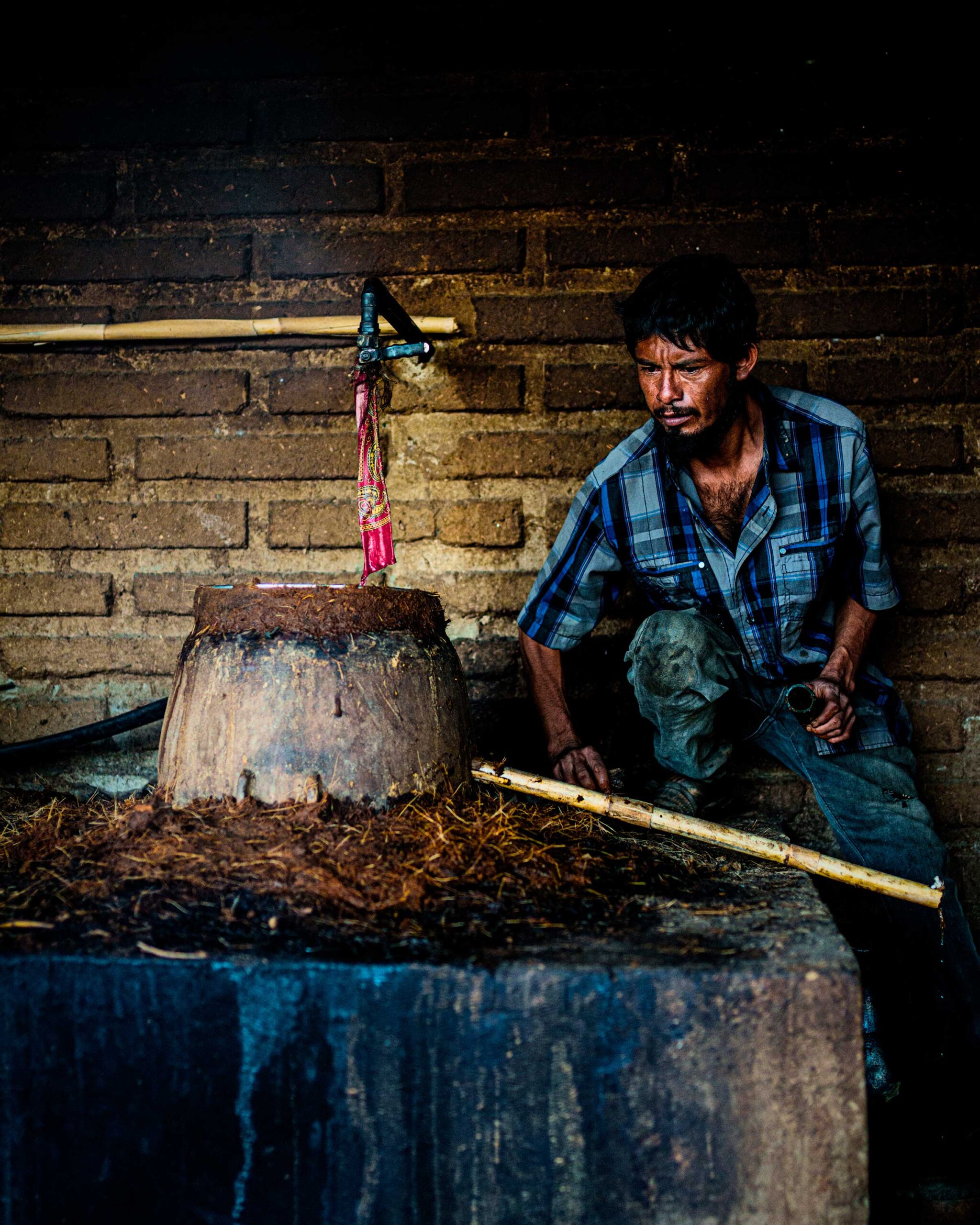 proceso ancestral
