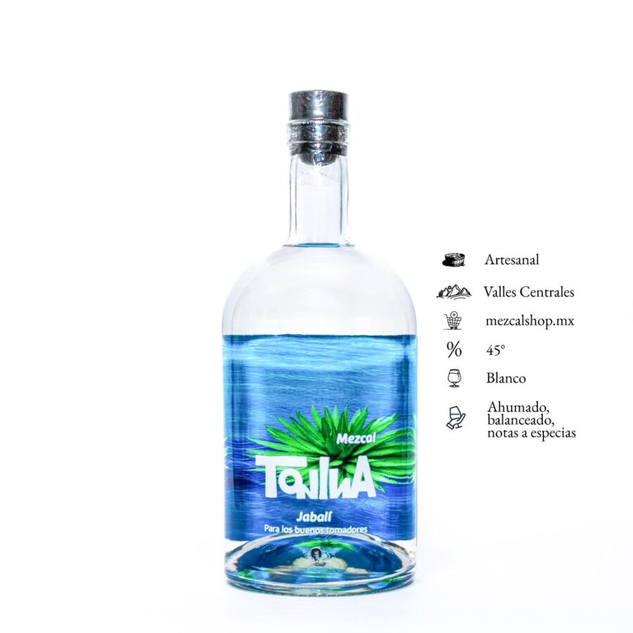 tonina jabali botella color azul mar