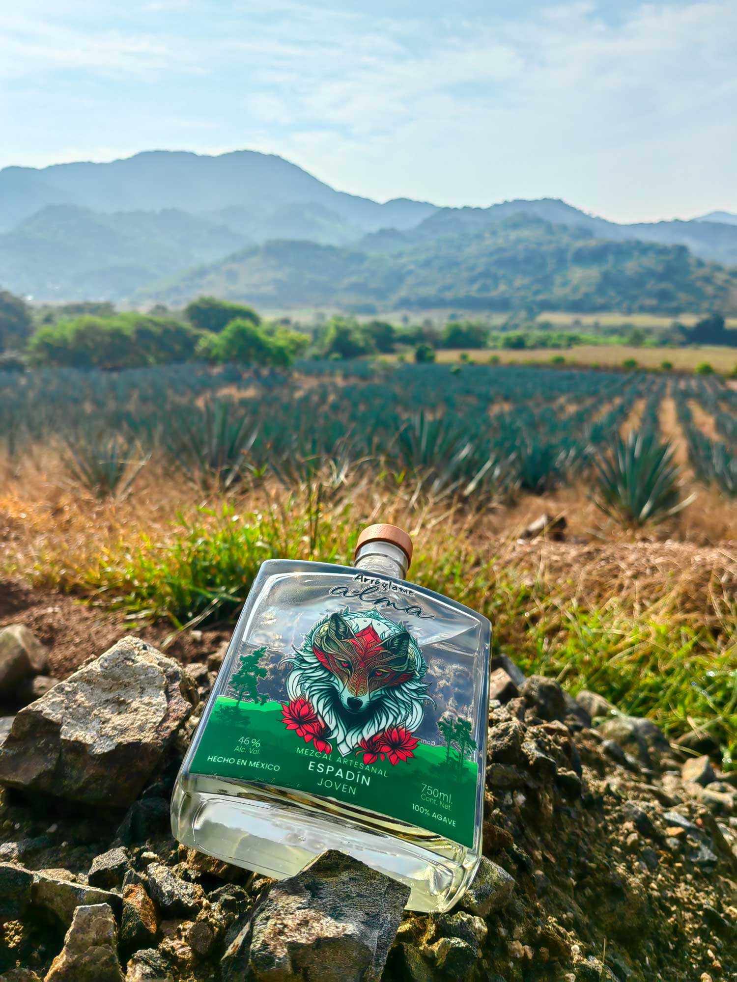 Mezcal Artesanal Arréglame el Alma Espadín 46° 750ml 3 Mezcal Artesanal Arréglame el Alma Espadín 46° 750ml - Imagen 3