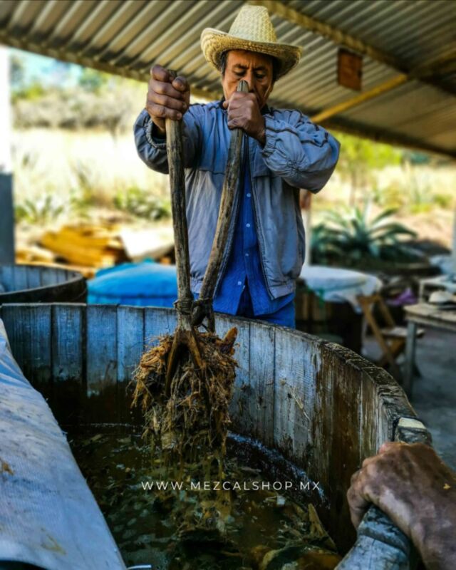 El verdadero tesoro del mezcal no está en la botella... está en quien lo crea ✨
👉 ¿Estás listo para vivir esta experiencia?  ¡Haz tu pedido ahora!
🔗  mezcalshop.mx
¡Contáctanos!
📞9513497018
#mezcalshop #mezcal #oaxaca #mezcalería #agave #cocktails #mezcalartesanal #mezcalito #mezcaleria  #oaxacacity #kit #viaje
