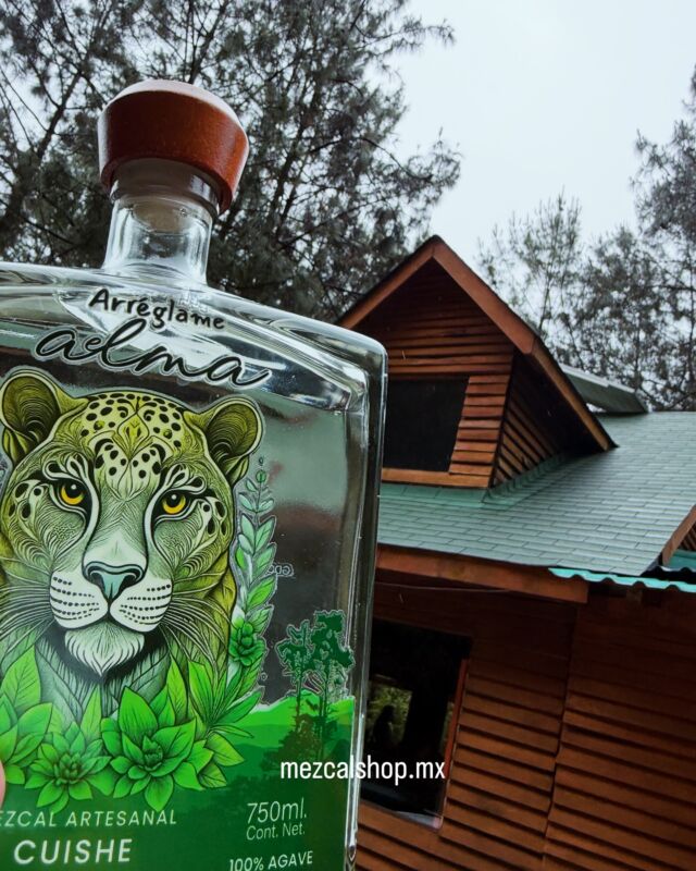 A veces solo necesitamos algo de naturaleza 🌿🌳para sanar el alma. #mezcalito #cuishe #mexicolindo