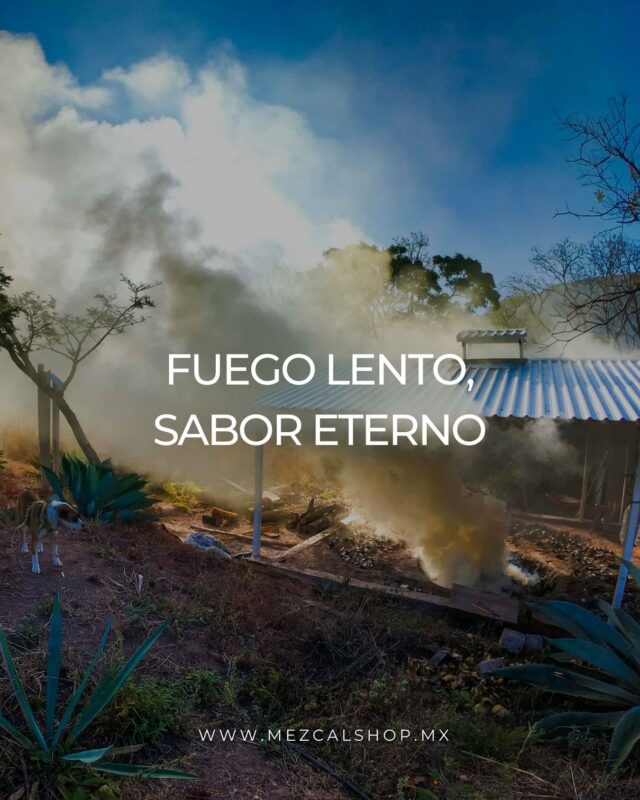 El tiempo lo transforma todo y en el mezcal, cada segundo cuenta 🔥
👉 ¿Estás listo para vivir esta experiencia?  ¡Haz tu pedido ahora! 🔗  mezcalshop.mx  #mezcalshop #mezcal #oaxaca #mezcalería #agave #cocktails #mezcalartesanal #mezcalito #mezcaleria  #oaxacacity #kit #viaje