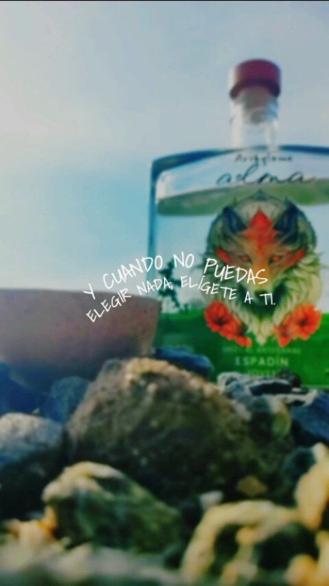 Un momento de calma para recargar pilas😊🙏🏼
#mezcalito #mezcaleria #playa #parati #cocktails #arreglameelalma #mezcaldeoaxaca #mezcalpremium #mexicolindo #puertoescondido